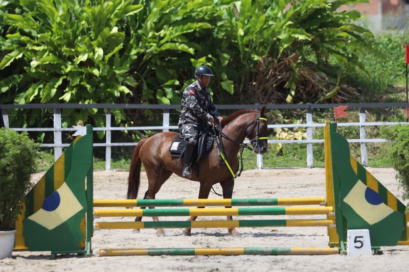  <div class='credito_fotos'>Foto: Rodrigo Pinheiro / Ag.Pará   |   <a href='/midias/2022/originais/15139_08766a15-eecf-f452-4bf1-4d8f639160f8.jpg' download><i class='fa-solid fa-download'></i> Download</a></div>