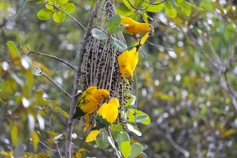  <div class='credito_fotos'>Foto: Bruno Cecim / Ag.Pará   |   <a href='/midias/2022/originais/15310_4de0098d-5697-7f89-3063-ca8a132b6eb0.jpg' download><i class='fa-solid fa-download'></i> Download</a></div>