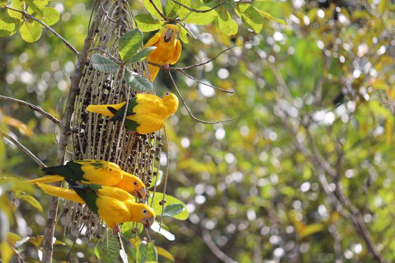  <div class='credito_fotos'>Foto: Bruno Cecim / Ag.Pará   |   <a href='/midias/2022/originais/15310_d0951150-b62d-5e2e-f5a2-ca14fc155193.jpg' download><i class='fa-solid fa-download'></i> Download</a></div>