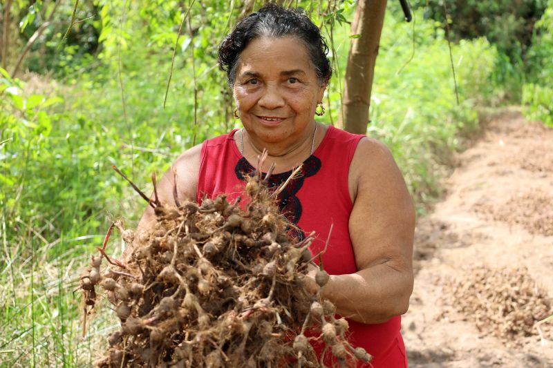 Maria do Rosário, agricultora <div class='credito_fotos'>Foto: Bruno Cecim / Ag.Pará   |   <a href='/midias/2022/originais/15433_b420313b-4dce-472a-5904-08cb9e030dbe.jpg' download><i class='fa-solid fa-download'></i> Download</a></div>