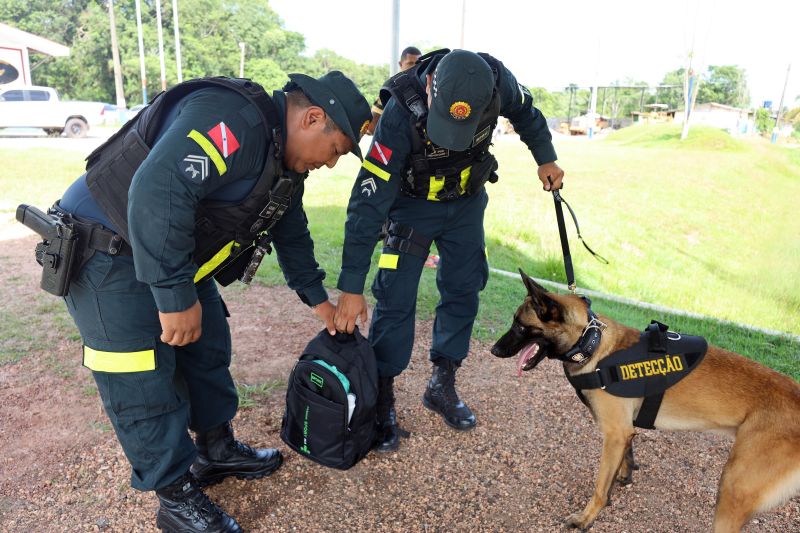 Órgãos estaduais intensificam as fiscalizações no período de final de ano
Bruno Cecim / AGPARÁ <div class='credito_fotos'>Foto: Bruno Cecim / Ag.Pará   |   <a href='/midias/2022/originais/15483_78b842f6-3501-3c0f-adcb-feeb9482e254.jpg' download><i class='fa-solid fa-download'></i> Download</a></div>