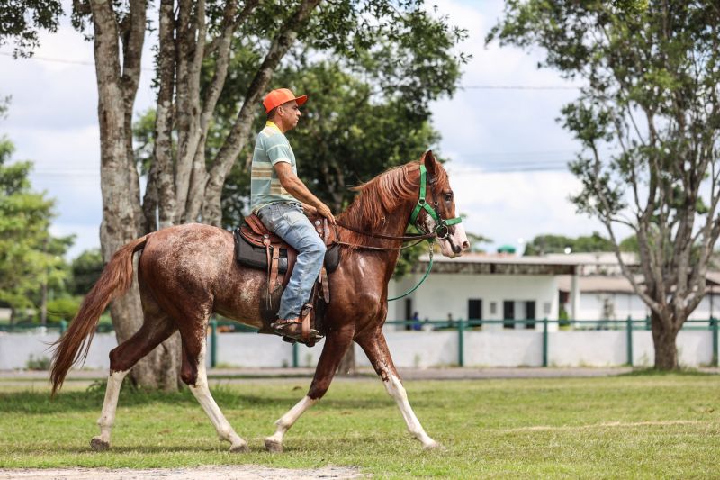  <div class='credito_fotos'>Foto: Bruno Cecim / Ag.Pará   |   <a href='/midias/2022/originais/15549_47761615-feb2-52ba-e5e2-e7e4424f5545.jpg' download><i class='fa-solid fa-download'></i> Download</a></div>