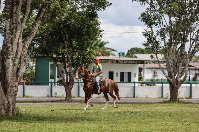  <div class='credito_fotos'>Foto: Bruno Cecim / Ag.Pará   |   <a href='/midias/2022/originais/15549_bd590159-1fe4-f629-2081-19fa3b639b11.jpg' download><i class='fa-solid fa-download'></i> Download</a></div>