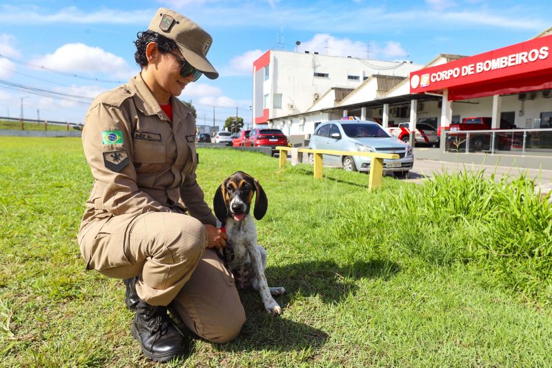  <div class='credito_fotos'>Foto: Bruno Cecim / Ag.Pará   |   <a href='/midias/2022/originais/15562_47790d48-720e-2a70-259a-2b774820c90f.jpg' download><i class='fa-solid fa-download'></i> Download</a></div>