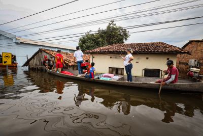 notícia: Corpo de Bombeiros ajuda no resgate de animais deixados nas enchentes de Marabá