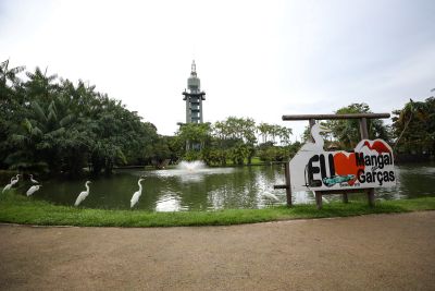 notícia: Parque Mangal das Garças tem programação infantil gratuita neste domingo (4)