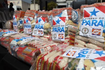 notícia: Governo entrega mais de mil cestas de alimentos a famílias de Nova Ipixuna e Palestina do Pará