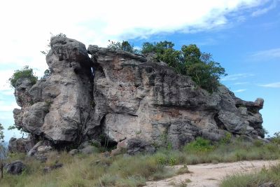 galeria: Parque Estadual Monte Alegre é escolhido como um dos 25 patrimônios mundiais