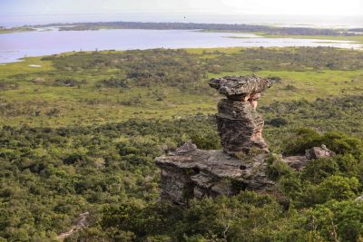 notícia: No Dia da Amazônia, Estado celebra avanços na preservação das suas 28 Unidades de Conservação