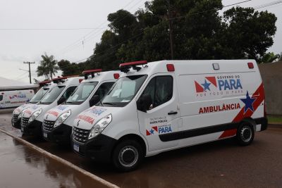 galeria: Entrega de ambulâncias para municípios do Sudeste