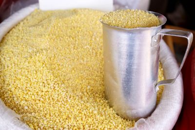 notícia: Adepará estabelece normas de circulação para farinha de mandioca