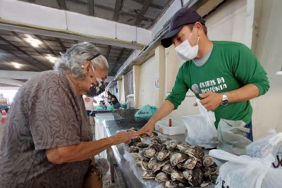 notícia: Dourada, pescada amarela, pata de caranguejo e filhote são os favoritos na Feira do Pescado 