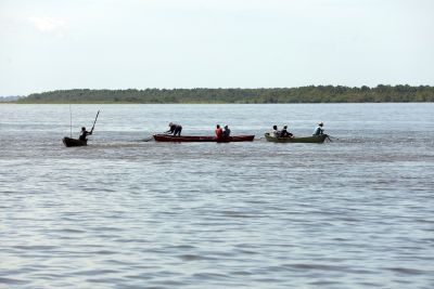 galeria: Cidade de Limoeiro do Ajuru