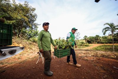 notícia: Com o apoio da Emater, agricultores de Brasil Novo fornecem alimentos para sistema público de saúde