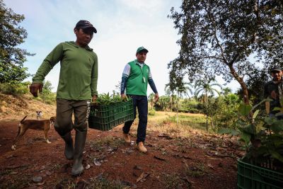 notícia: Emater conecta experiências de agricultores do sudeste e do nordeste paraenses 