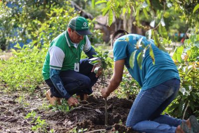 notícia: Emater Pará auxilia agricultores familiares no acesso a crédito