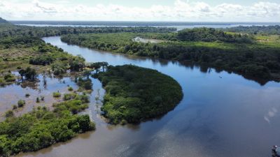 notícia: Governo do Pará cancela Cadastros Ambientais Rurais em área de proteção no Xingu