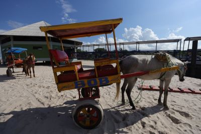 galeria: Governador entrega Terminal Hidroviário de Algodoal