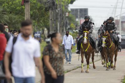 notícia: Cães e cavalos reforçam as operações das Forças de Segurança do Estado
