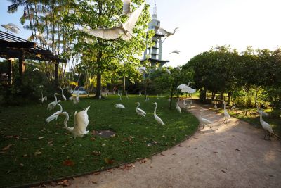 notícia: Mangal das Garças tem programação especial para comemorar o Dia Mundial da Falcoaria