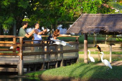 notícia: Governo do Estado fomenta turismo gastronômico e de natureza no Pará