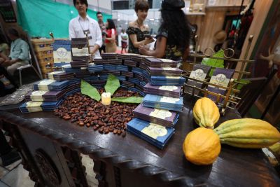 notícia: Produtores de cinco municípios do Pará participam do Chocolat Festival de Ilhéus 