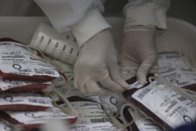 notícia: Fundação Hemopa aproveita o veraneio para informar sobre doação de sangue
