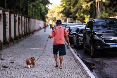 galeria: Limpeza da Av.Rômulo Maiorana - SEAP