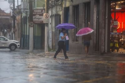 notícia: Governo orienta sobre a prevenção de arboviroses no período chuvoso paraense