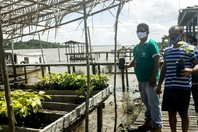 notícia: Atendimento da Emater transforma realidade de produtores em ilha de Almeirim