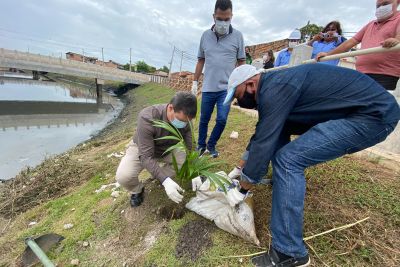 notícia: Sedop promove ação de plantio de árvores e educação ambiental no canal do Tucunduba, em Belém