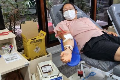 notícia: Fake news dificultam processo de doação de sangue, alerta Hemopa