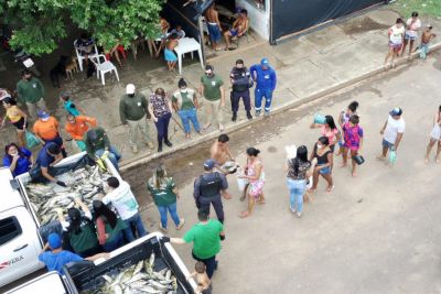 notícia: Mais de duas toneladas de peixes foram apreendidas no período de defeso no Pará