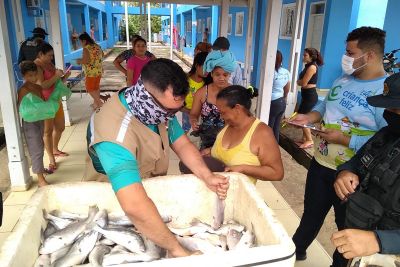 notícia: Mais de 4 toneladas de pescado são apreendidas durante o defeso no Lago de Tucuruí