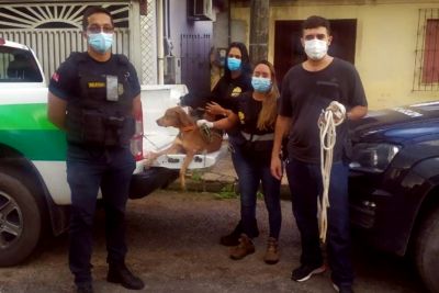 notícia: Polícia Civil deflagra ação de combate a crimes de maus-tratos contra animais no interior do Pará