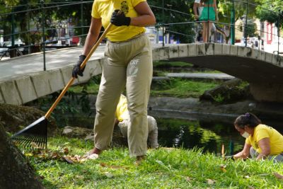 notícia: Projeto 'Plantar o Futuro' valoriza mão de obra de mulheres privadas de liberdade