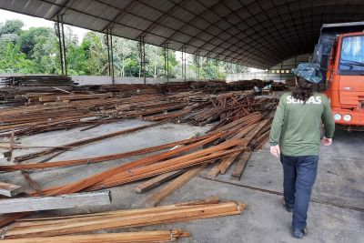 notícia: Em Icoaraci, Semas abre vistoria pública de lote de madeira que será leiloado