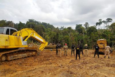 notícia: Semas divulga números da primeira edição da operação Amazônia Viva em 2022
