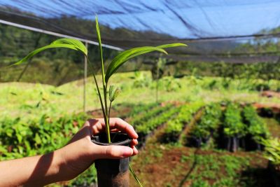 notícia: Edital beneficiará quase 4 mil produtores rurais com ações do 'Territórios Sustentáveis'