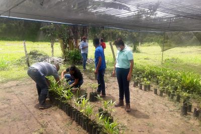 notícia: IDEFLOR-Bio realiza visita técnica regular em propriedades de agricultores familiares