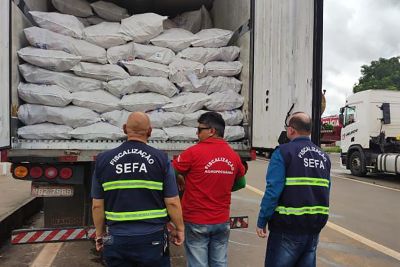 notícia: Secretaria da Fazenda apreende 30 toneladas de peixes em Dom Eliseu  