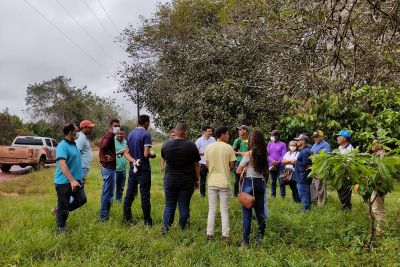 notícia: Agricultores Familiares participaram de intercâmbio em SAFs no município de Tomé-Açu