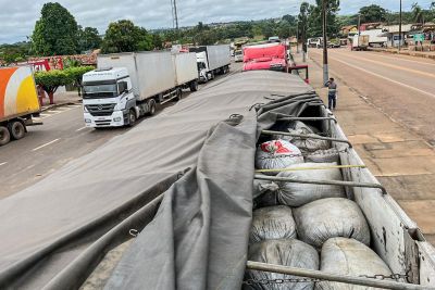 notícia: Sefa apreende 30 toneladas de minério de manganês em Dom Eliseu, sudeste estadual