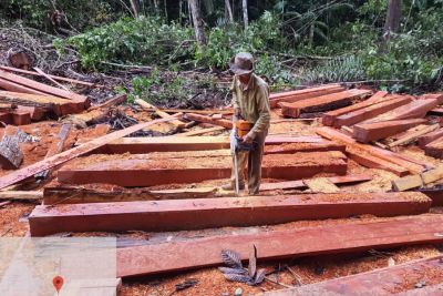 notícia: Operação Amazônia Viva embarga mais de 2 mil hectares no combate ao desmatamento ilegal no Pará 