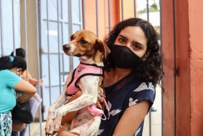 notícia: Operação da Polícia Civil do Pará reforça prevenção à crueldade contra os animais