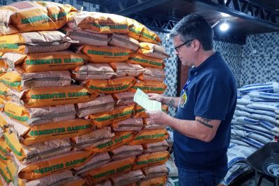 notícia: Adepará realiza ações de fiscalização de sementes e mudas para garantir sanidade do setor produtivo