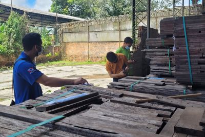 notícia: Lotes de madeiras apreendidas são comercializadas no Feirão da Semas 
