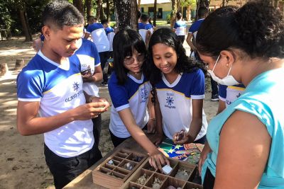 notícia: Universidade do Estado do Pará promove Ciência Itinerante no Marajó