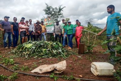 notícia: Em São Félix do Xingu, Emater demonstra vantagem da compostagem como estratégia ecológica e econômica