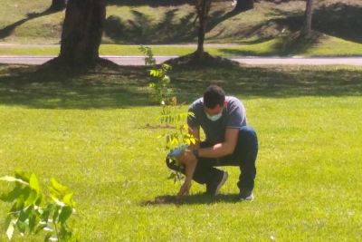 notícia: Servidores plantam espécies florestais em área da Ceasa